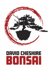 David Cheshire Bonsai