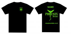 Phoenix Dubs Ladies T-Shirt