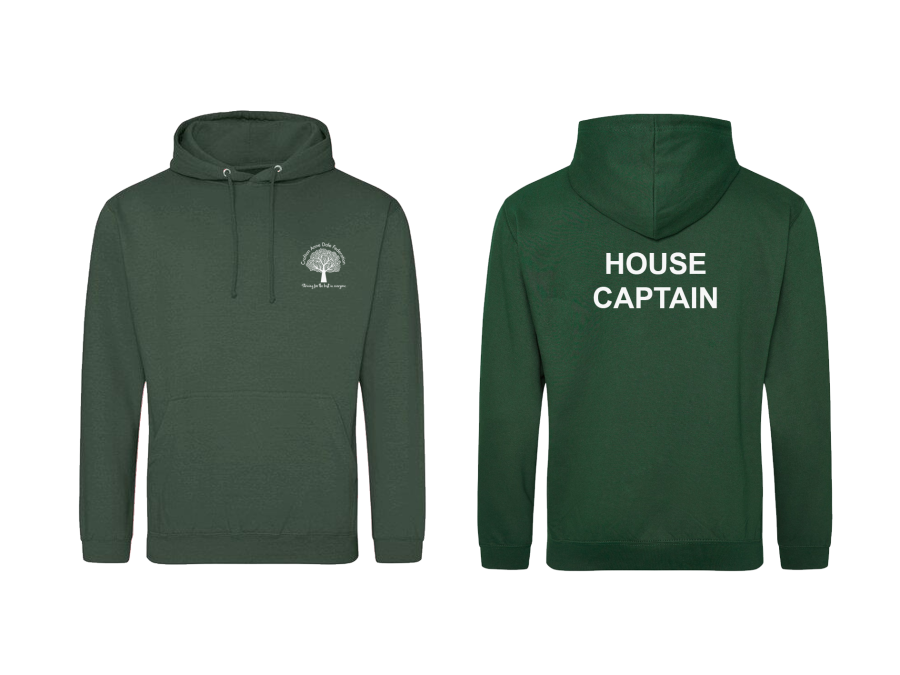 CAD Hoodie - Kids Sizing